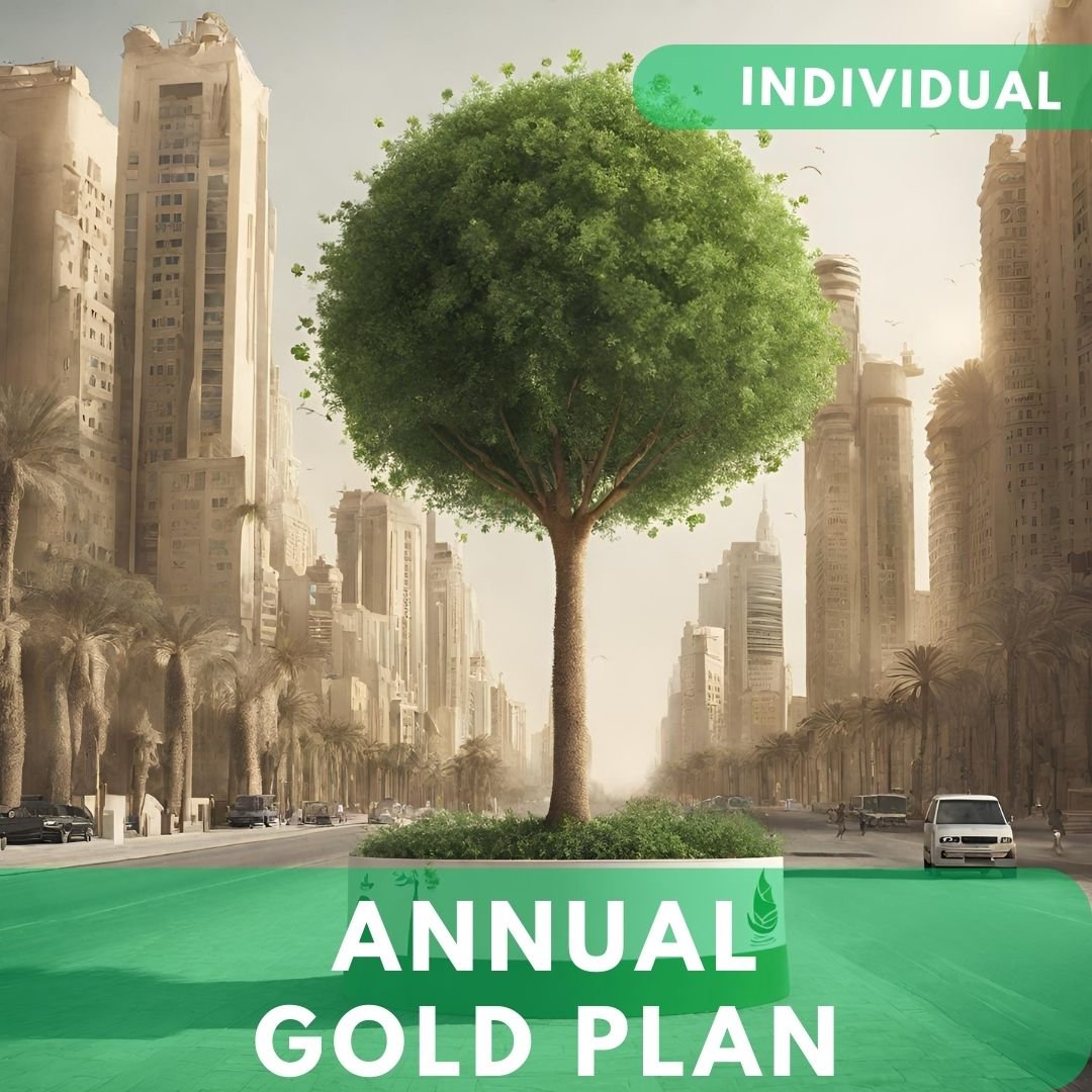 Individual Annual Subscription - Gold