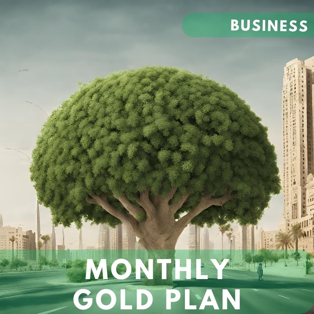 Business Monthly Subscription - Gold